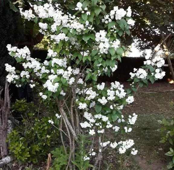 Aamiaismajoitus (B&B) Valérie Gouffé