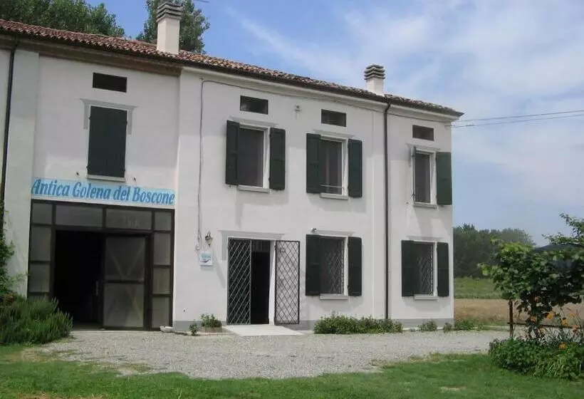 ホテル Agriturismo Antica Golena