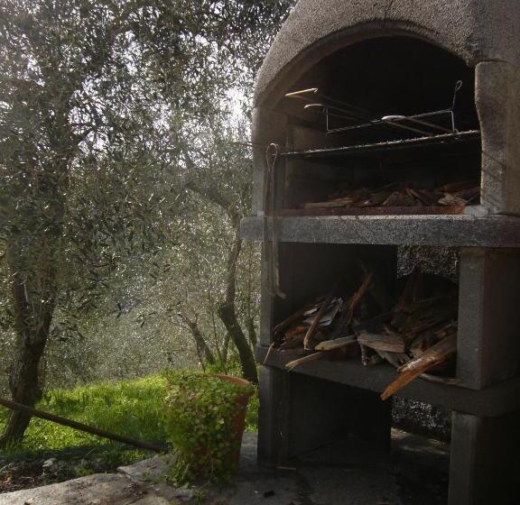 בית מלון כפרי Agriturismo Olivarancio