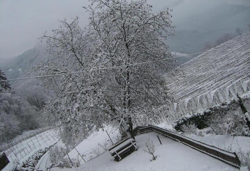 酒店 Engadiner Apartments & Wines