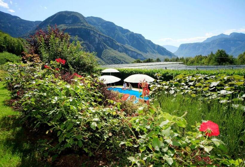 酒店 Engadiner Apartments & Wines