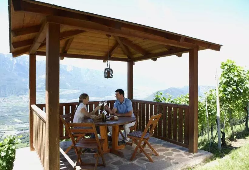 ホテル Engadiner Apartments & Wines