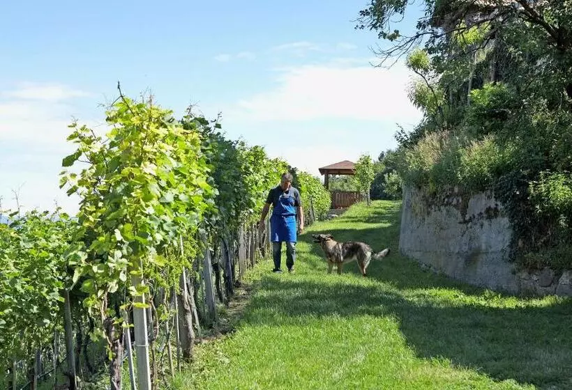 ホテル Engadiner Apartments & Wines