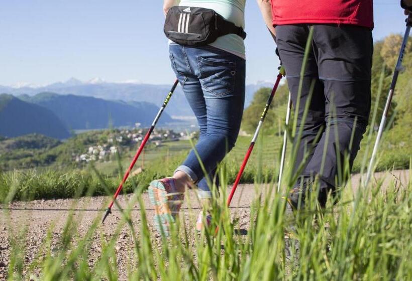 酒店 Engadiner Apartments & Wines