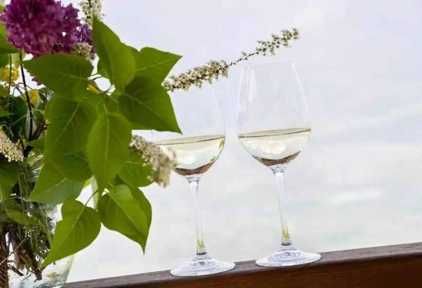ホテル Engadiner Apartments & Wines