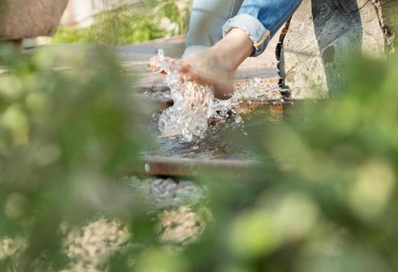 酒店 Engadiner Apartments & Wines