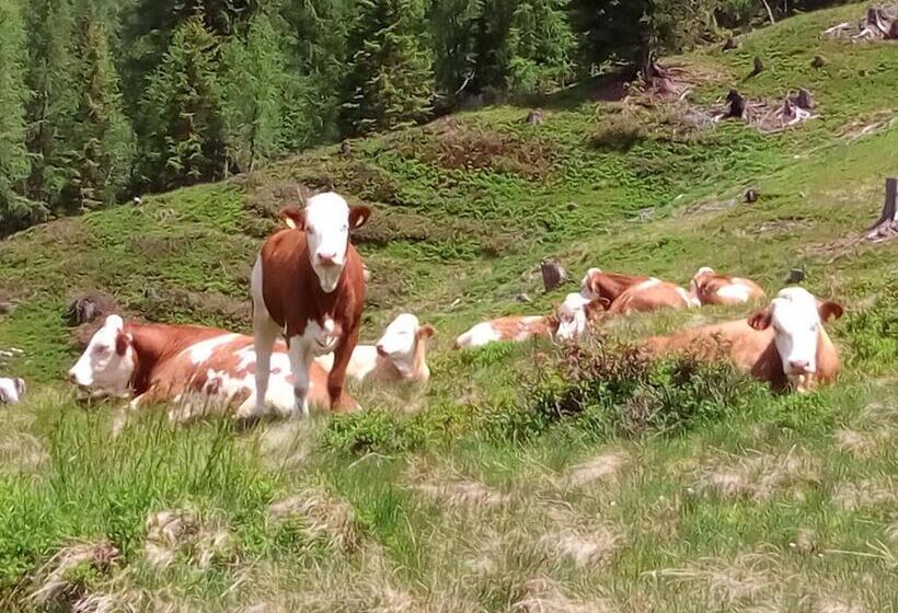 فندق Hintereggerhof