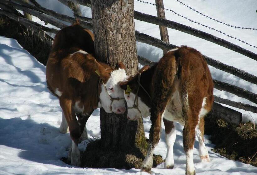 فندق Hintereggerhof