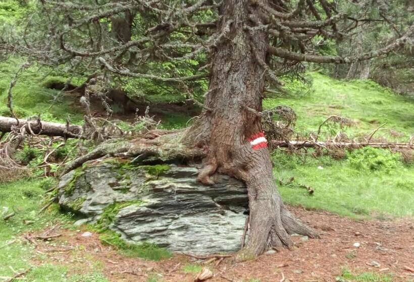 فندق Hintereggerhof