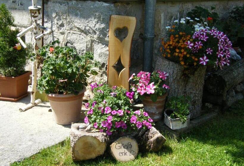 فندق Hintereggerhof