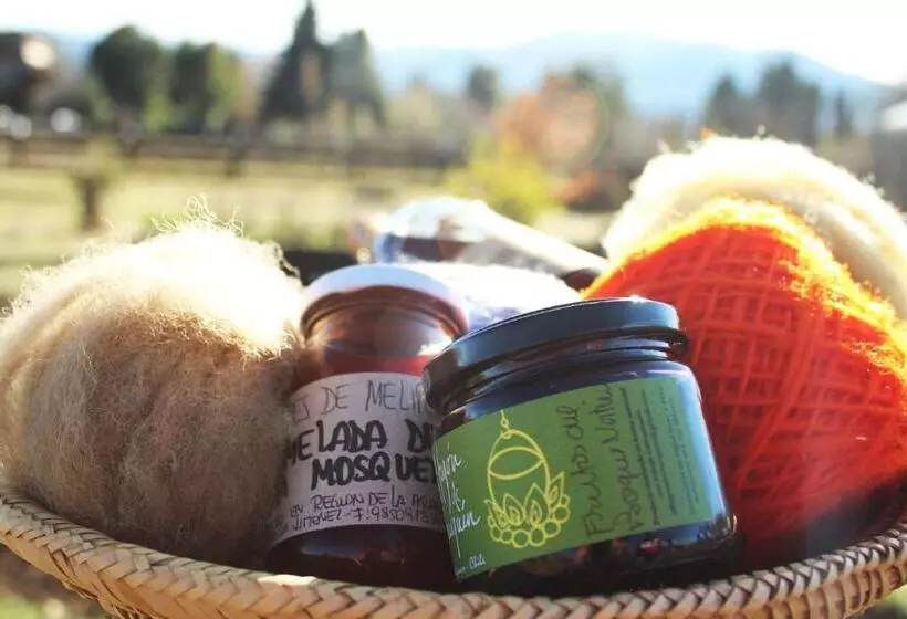 ホテル Hospedaje Y Agrocamping Relmucura