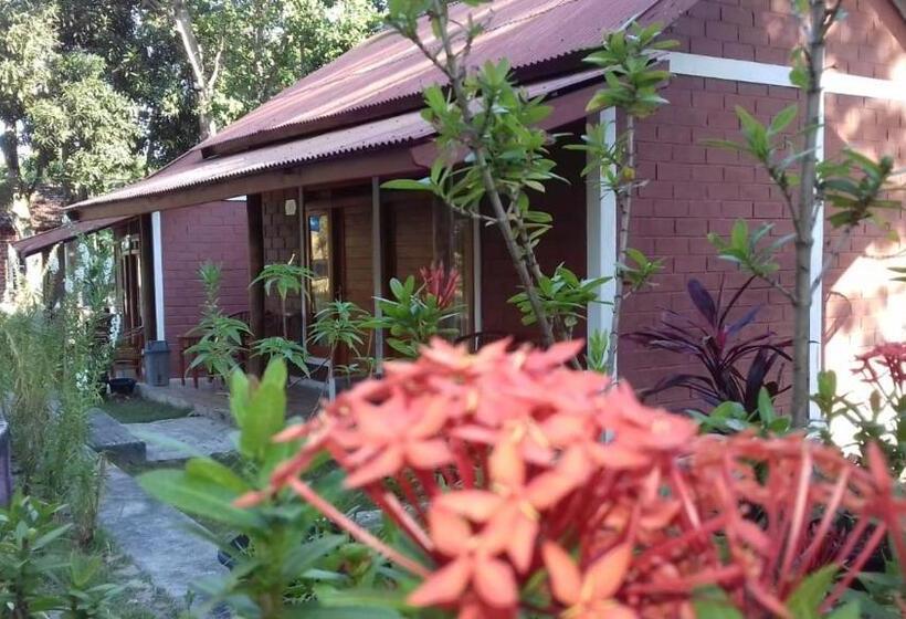 Hotell New Cottage Asri Karimunjawa