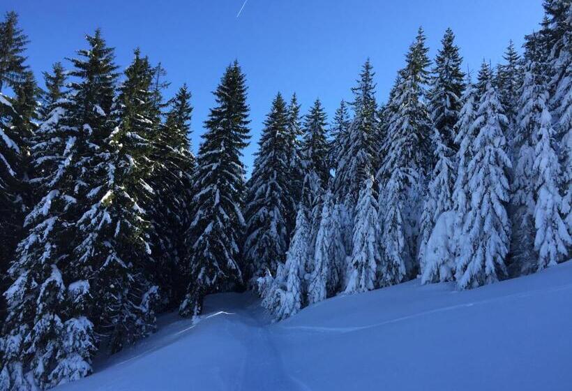 פנסיון Cabana Atlas