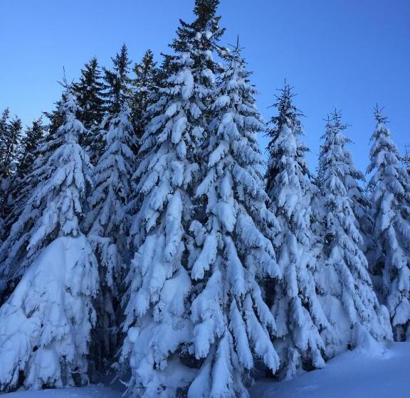 פנסיון Cabana Atlas