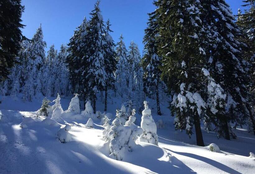 פנסיון Cabana Atlas