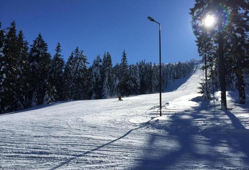 פנסיון Cabana Atlas