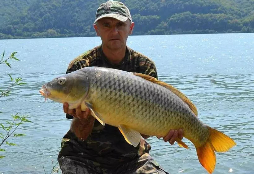 Majatalo Cabana Plapumioara