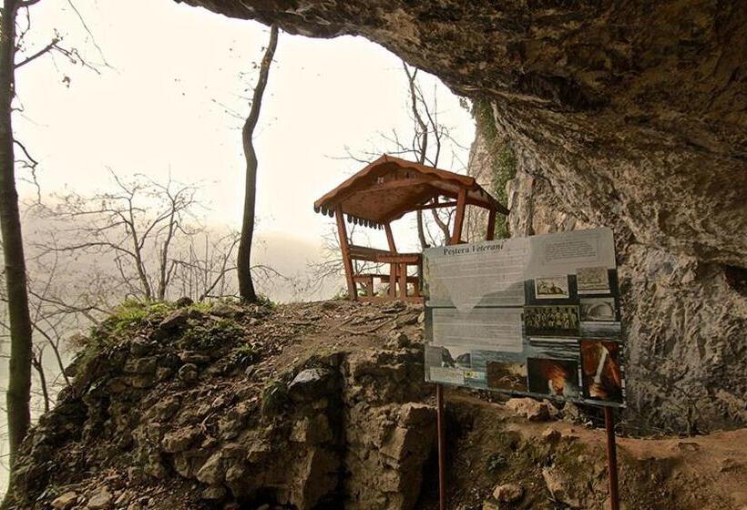 Пансион Cabana Plapumioara