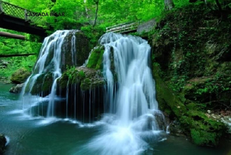 Пансион Cabana Plapumioara