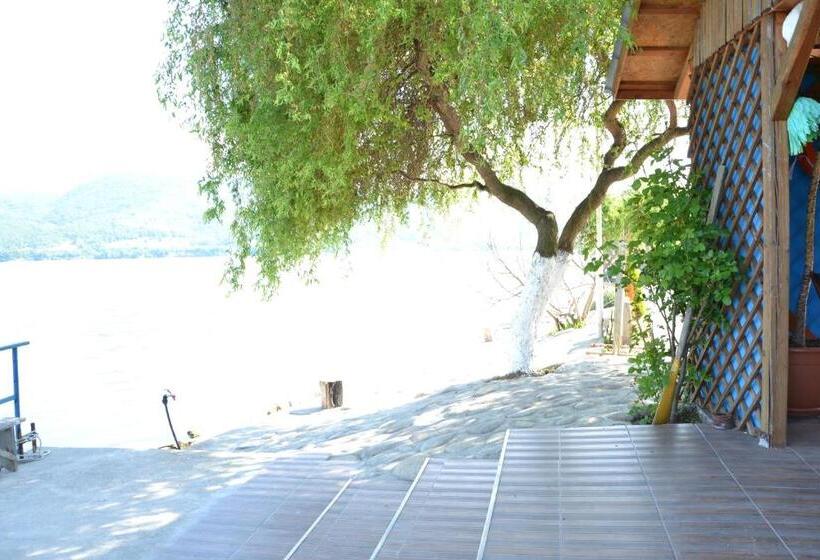 Пансион Cabana Plapumioara