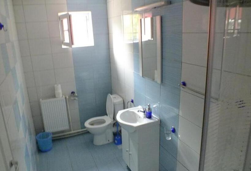 Пансион Cabana Plapumioara