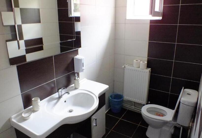 Пансион Cabana Plapumioara