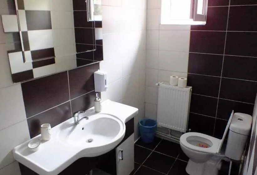 Majatalo Cabana Plapumioara