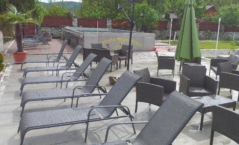 Пансион Cabana Plapumioara