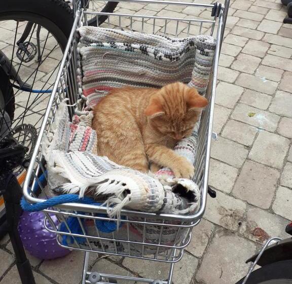 פנסיון Lunzferien