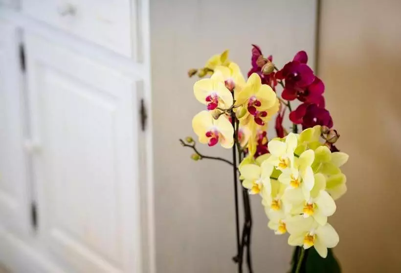 تختخواب و صبحانه Ca' Baetti - L'antica Corte