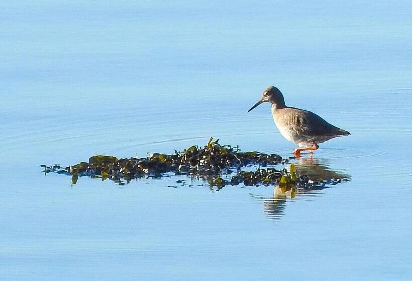 בית מלון כפרי Alicia Auray Le Bono