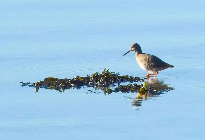 فندق Alicia Auray Le Bono