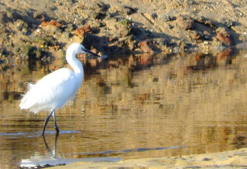 בית מלון כפרי Alicia Auray Le Bono