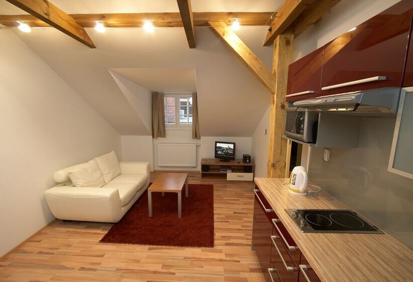 酒店 Residence U černé Věže české Budějovice