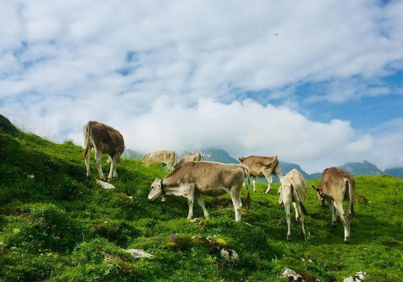 酒店 Sternen Unterwasser