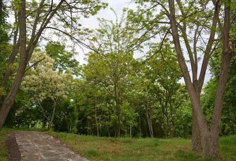 호텔 Sunshine Pearl Family