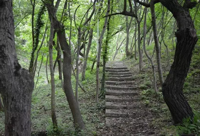 호텔 Sunshine Pearl Family