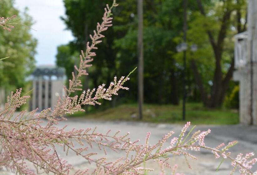 בית מלון כפרי Sunshine Pearl Family