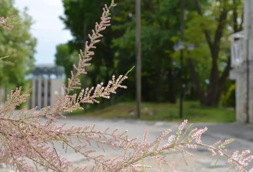 호텔 Sunshine Pearl Family