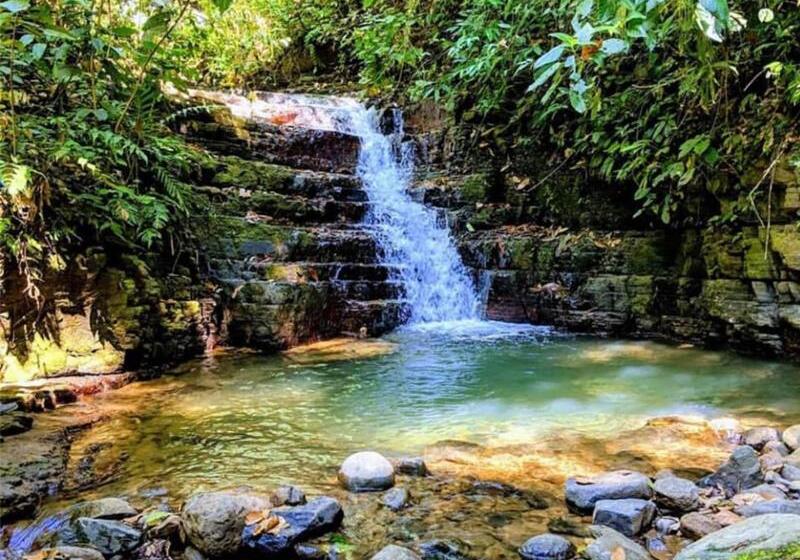 Oxygen Jungle Villas & Spa