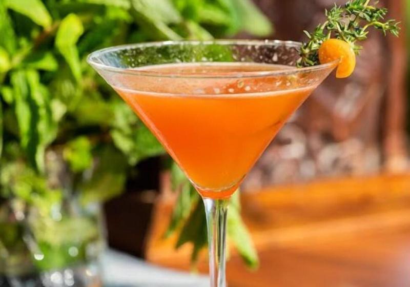 Oxygen Jungle Villas & Spa