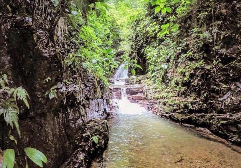 Oxygen Jungle Villas & Spa