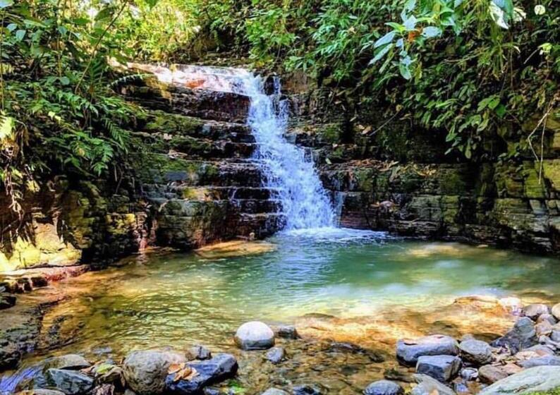 Oxygen Jungle Villas & Spa