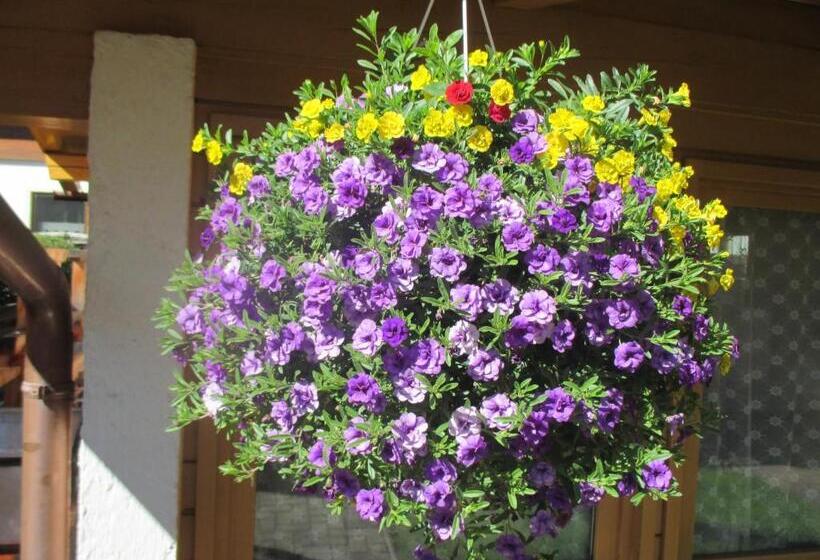 Пансион Gästehaus Unterberger