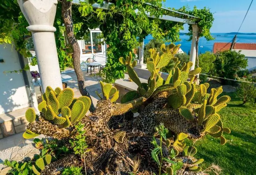 Villa Adriatic Rooms