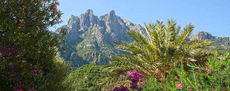 فندق Hôtel Colombo  Porto Corse