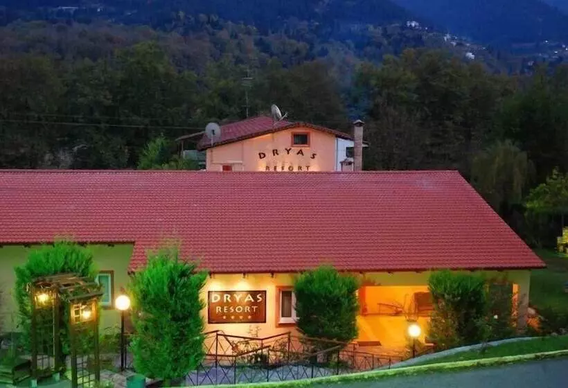 فندق Dryas