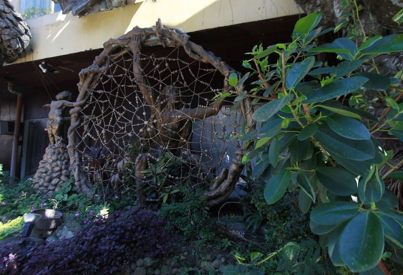 בית מלון כפרי Ponce Suites Gallery