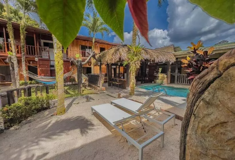 Отель Poshtel Arenal