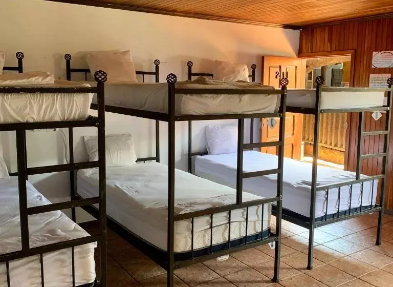 Отель Poshtel Arenal